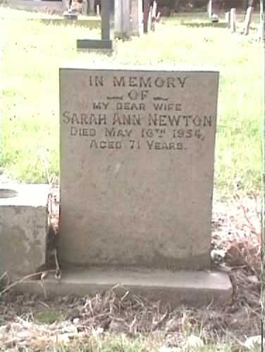 Newton