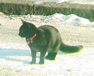 Lyme Grove, Romiley.