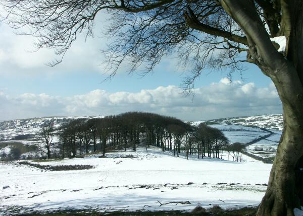 Cleulow Cross, Wincle, Cheshire.